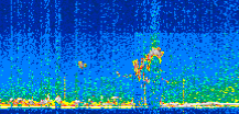 /calipso-imagery/data/BROWSE/production/V5-00/2021-07-16/2021-07-16_22-03-49_V5.00_2_thmb.png image missing
