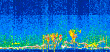 /calipso-imagery/data/BROWSE/production/V5-00/2021-07-16/2021-07-16_22-03-49_V5.00_3_thmb.png image missing