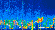/calipso-imagery/data/BROWSE/production/V5-00/2021-07-19/2021-07-19_02-36-11_V5.00_4_thmb.png image missing