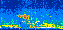 /calipso-imagery/data/BROWSE/production/V5-00/2021-07-19/2021-07-19_12-27-17_V5.00_2_thmb.png image missing