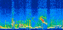 /calipso-imagery/data/BROWSE/production/V5-00/2021-07-19/2021-07-19_12-27-17_V5.00_3_thmb.png image missing