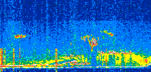 /calipso-imagery/data/BROWSE/production/V5-00/2021-07-19/2021-07-19_14-05-47_V5.00_2_thmb.png image missing