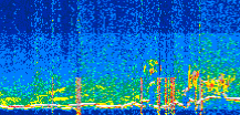 /calipso-imagery/data/BROWSE/production/V5-00/2021-07-19/2021-07-19_14-05-47_V5.00_3_thmb.png image missing
