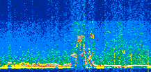 /calipso-imagery/data/BROWSE/production/V5-00/2021-07-19/2021-07-19_22-18-23_V5.00_2_thmb.png image missing