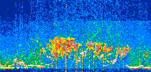 /calipso-imagery/data/BROWSE/production/V5-00/2021-07-19/2021-07-19_23-56-53_V5.00_3_thmb.png image missing
