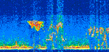 /calipso-imagery/data/BROWSE/production/V5-00/2021-07-20/2021-07-20_01-35-23_V5.00_2_thmb.png image missing