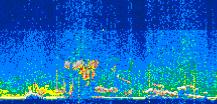 /calipso-imagery/data/BROWSE/production/V5-00/2021-07-20/2021-07-20_11-26-25_V5.00_3_thmb.png image missing