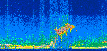 /calipso-imagery/data/BROWSE/production/V5-00/2021-07-20/2021-07-20_21-17-31_V5.00_2_thmb.png image missing
