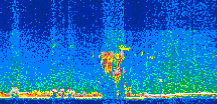 /calipso-imagery/data/BROWSE/production/V5-00/2021-07-20/2021-07-20_22-56-01_V5.00_2_thmb.png image missing