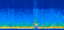 /calipso-imagery/data/BROWSE/production/V5-00/2021-07-24/2021-07-24_00-49-00_V5.00_2_thmb.png image missing