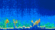 /calipso-imagery/data/BROWSE/production/V5-00/2021-07-24/2021-07-24_00-49-00_V5.00_4_thmb.png image missing