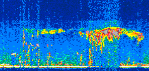 /calipso-imagery/data/BROWSE/production/V5-00/2021-07-24/2021-07-24_04-06-06_V5.00_2_thmb.png image missing