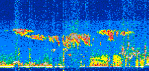 /calipso-imagery/data/BROWSE/production/V5-00/2021-07-24/2021-07-24_09-01-36_V5.00_2_thmb.png image missing