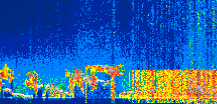 /calipso-imagery/data/BROWSE/production/V5-00/2021-07-24/2021-07-24_15-35-37_V5.00_1_thmb.png image missing