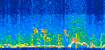 /calipso-imagery/data/BROWSE/production/V5-00/2021-07-24/2021-07-24_15-35-37_V5.00_3_thmb.png image missing