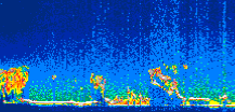 /calipso-imagery/data/BROWSE/production/V5-00/2021-07-24/2021-07-24_23-48-13_V5.00_1_thmb.png image missing