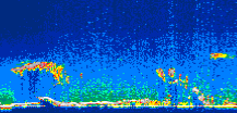 /calipso-imagery/data/BROWSE/production/V5-00/2021-07-26/2021-07-26_02-04-21_V5.00_1_thmb.png image missing