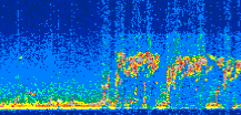 /calipso-imagery/data/BROWSE/production/V5-00/2021-07-26/2021-07-26_02-04-21_V5.00_2_thmb.png image missing