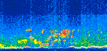 /calipso-imagery/data/BROWSE/production/V5-00/2021-07-26/2021-07-26_11-55-23_V5.00_3_thmb.png image missing