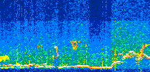 /calipso-imagery/data/BROWSE/production/V5-00/2021-07-26/2021-07-26_15-12-28_V5.00_3_thmb.png image missing