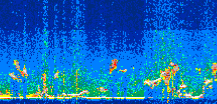 /calipso-imagery/data/BROWSE/production/V5-00/2021-07-26/2021-07-26_16-50-58_V5.00_3_thmb.png image missing