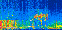 /calipso-imagery/data/BROWSE/production/V5-00/2021-07-26/2021-07-26_20-07-59_V5.00_2_thmb.png image missing
