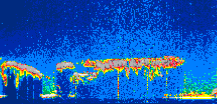 /calipso-imagery/data/BROWSE/production/V5-00/2021-07-26/2021-07-26_21-46-29_V5.00_1_thmb.png image missing