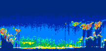 /calipso-imagery/data/BROWSE/production/V5-00/2021-07-28/2021-07-28_00-55-02_V5.00_1_thmb.png image missing