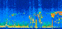 /calipso-imagery/data/BROWSE/production/V5-00/2021-07-28/2021-07-28_03-19-43_V5.00_2_thmb.png image missing