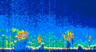 /calipso-imagery/data/BROWSE/production/V5-00/2021-07-28/2021-07-28_03-19-43_V5.00_4_thmb.png image missing