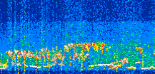 /calipso-imagery/data/BROWSE/production/V5-00/2021-07-28/2021-07-28_06-36-43_V5.00_3_thmb.png image missing