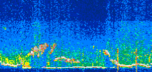 /calipso-imagery/data/BROWSE/production/V5-00/2021-07-28/2021-07-28_09-53-43_V5.00_3_thmb.png image missing