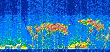 /calipso-imagery/data/BROWSE/production/V5-00/2021-07-30/2021-07-30_07-51-59_V5.00_2_thmb.png image missing