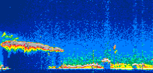 /calipso-imagery/data/BROWSE/production/V5-00/2021-07-30/2021-07-30_11-09-05_V5.00_1_thmb.png image missing