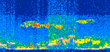 /calipso-imagery/data/BROWSE/production/V5-00/2021-07-30/2021-07-30_11-09-05_V5.00_2_thmb.png image missing