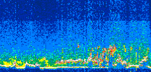 /calipso-imagery/data/BROWSE/production/V5-00/2021-07-30/2021-07-30_11-09-05_V5.00_3_thmb.png image missing