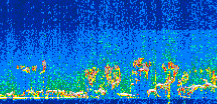 /calipso-imagery/data/BROWSE/production/V5-00/2021-07-30/2021-07-30_22-38-36_V5.00_3_thmb.png image missing