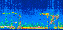 /calipso-imagery/data/BROWSE/production/V5-00/2021-08-01/2021-08-01_02-33-19_V5.00_2_thmb.png image missing