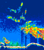 /calipso-imagery/data/BROWSE/production/V5-00/2021-08-01/2021-08-01_05-04-10_V5.00_4_thmb.png image missing