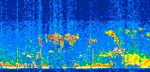 /calipso-imagery/data/BROWSE/production/V5-00/2021-08-01/2021-08-01_09-07-20_V5.00_2_thmb.png image missing