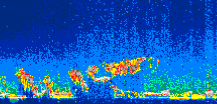 /calipso-imagery/data/BROWSE/production/V5-00/2021-08-01/2021-08-01_10-45-51_V5.00_1_thmb.png image missing