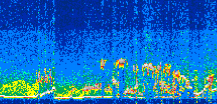/calipso-imagery/data/BROWSE/production/V5-00/2021-08-01/2021-08-01_10-45-51_V5.00_3_thmb.png image missing