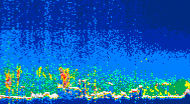 /calipso-imagery/data/BROWSE/production/V5-00/2021-08-01/2021-08-01_10-45-51_V5.00_4_thmb.png image missing