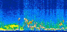 /calipso-imagery/data/BROWSE/production/V5-00/2021-08-01/2021-08-01_12-24-21_V5.00_3_thmb.png image missing