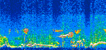 /calipso-imagery/data/BROWSE/production/V5-00/2021-08-01/2021-08-01_14-02-51_V5.00_3_thmb.png image missing