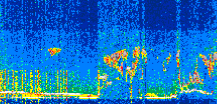 /calipso-imagery/data/BROWSE/production/V5-00/2021-08-01/2021-08-01_20-36-57_V5.00_2_thmb.png image missing