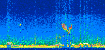 /calipso-imagery/data/BROWSE/production/V5-00/2021-08-01/2021-08-01_23-53-57_V5.00_2_thmb.png image missing