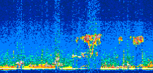 /calipso-imagery/data/BROWSE/production/V5-00/2021-08-11/2021-08-11_00-37-09_V5.00_2_thmb.png image missing