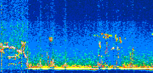 /calipso-imagery/data/BROWSE/production/V5-00/2021-08-11/2021-08-11_02-15-40_V5.00_2_thmb.png image missing