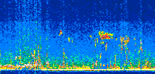 /calipso-imagery/data/BROWSE/production/V5-00/2021-08-11/2021-08-11_03-54-15_V5.00_2_thmb.png image missing